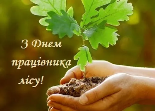 День лісівника 2026: привітання в прозі, прикольні, своїми словами і картинки