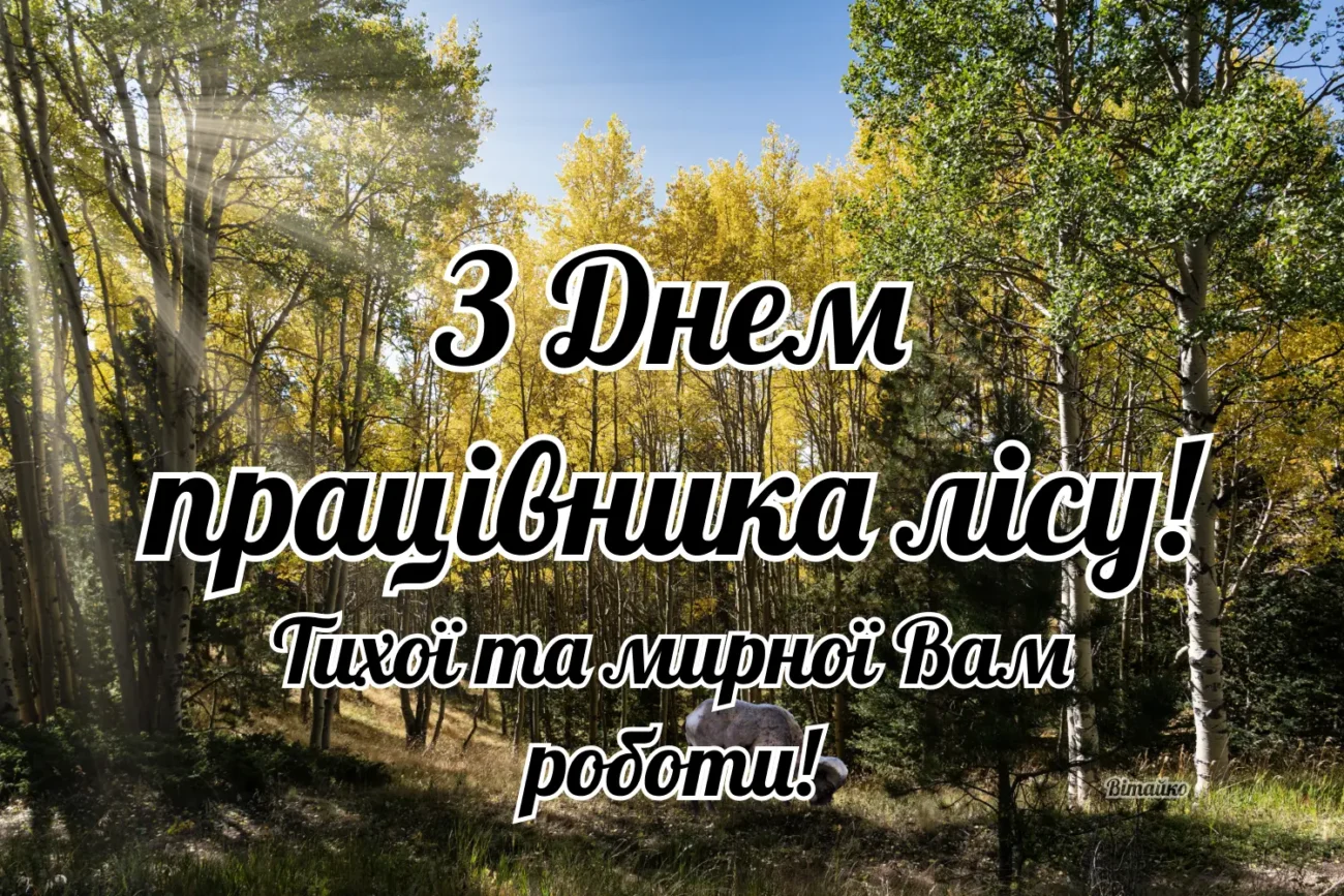 День лісівника 2026: привітання в прозі, прикольні, своїми словами і картинки