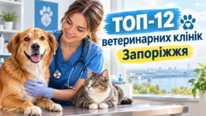 ТОП-12 ветеринарних клінік Запоріжжя 2026 за відгуками та цінами