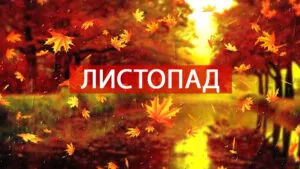 Новий місяць, нові правила: головні зміни листопада для Запоріжжя